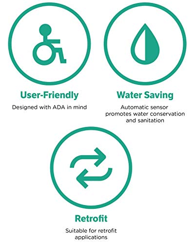Manual override button enables on-demand flushing
