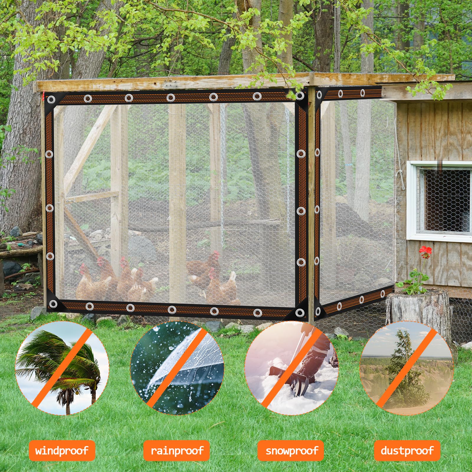 ZYP transparent tarpaulin protecting greenhouse plants from rain